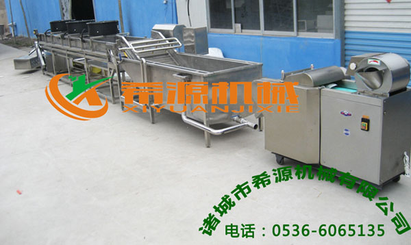 葉菜類(lèi)凈菜清洗流水線
